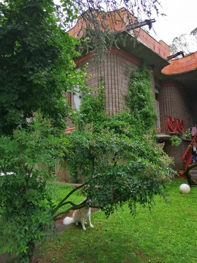 Open Space Nel Parco Con Parcheggio Gratuito Флоренція Екстер'єр фото